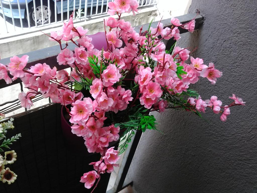Keti 1 Apartment Белград Екстериор снимка